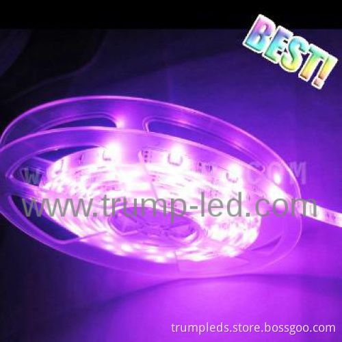 Christmas Trees 5M LED Rope Lights